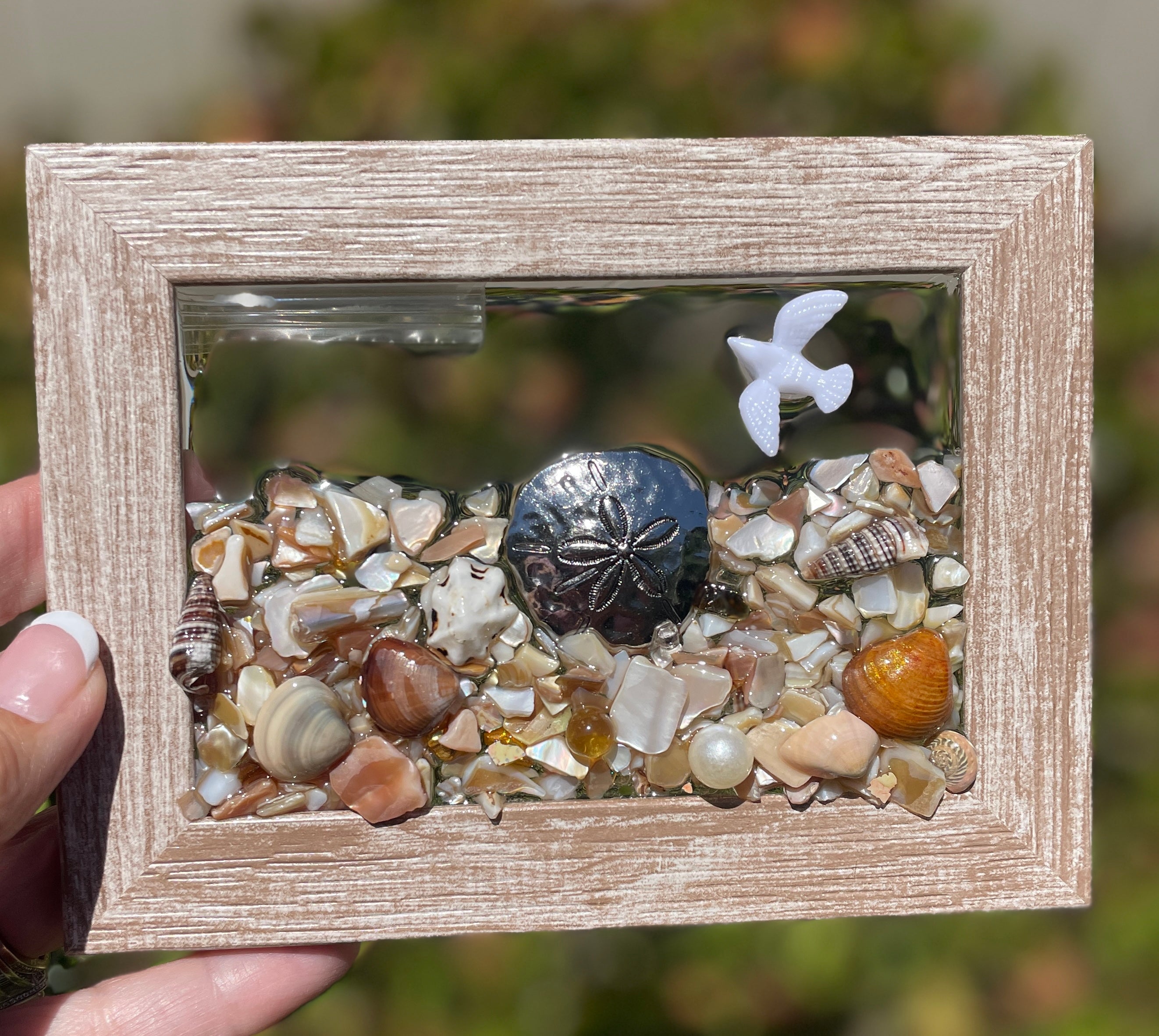 Lucky Sand Dollar! 3" x 5" - Crushed Shells with Sand Dollar Charm and Saying