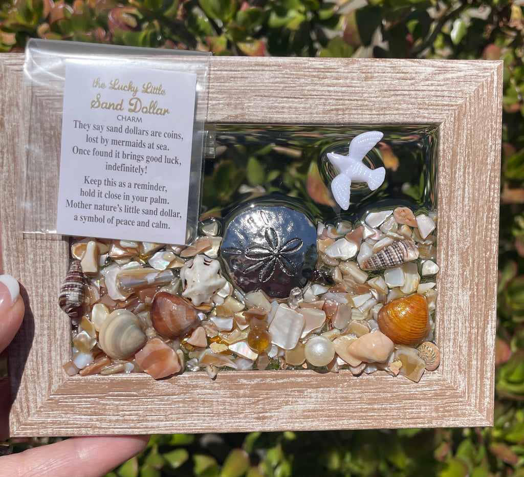 Lucky Sand Dollar! 3" x 5" - Crushed Shells with Sand Dollar Charm and Saying