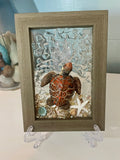 4"x 6" Turtle in Ocean Scene with Starfish and Sea Shells