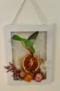 Flowers and Orange with Large Hummingbird - 5" x 7"